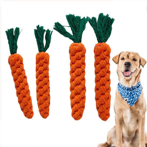 Carrot Crunch Rope