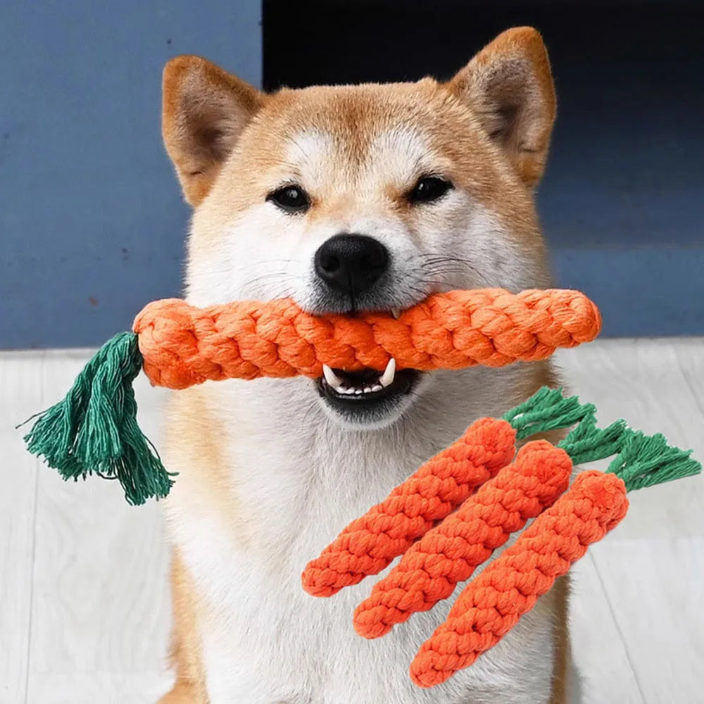 Carrot Crunch Rope
